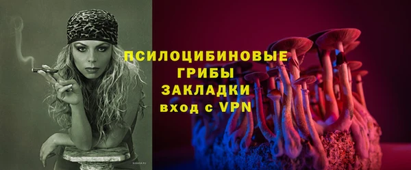 шишки Аркадак