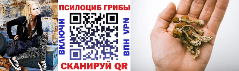 Галлюциногенные грибы GOLDEN TEACHER Набережные Челны